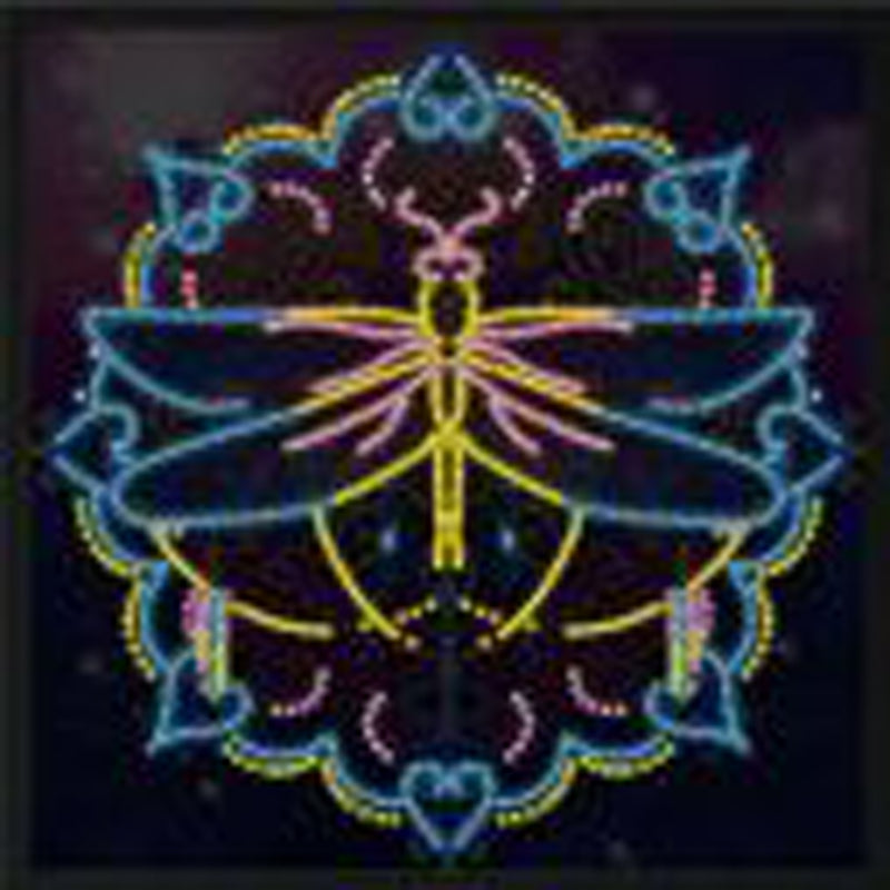 LZYG06 Luminous Diamond Painting