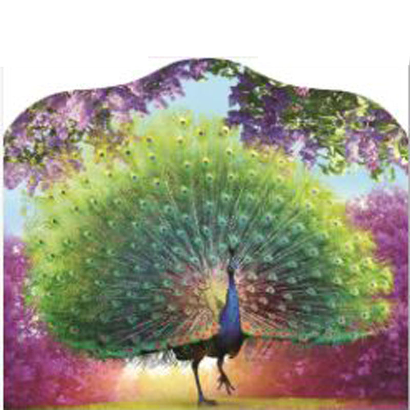 3DYKL04 Acrylic ornaments