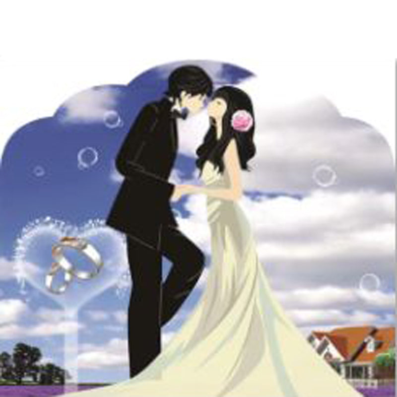 3DYKL05 Acrylic ornaments