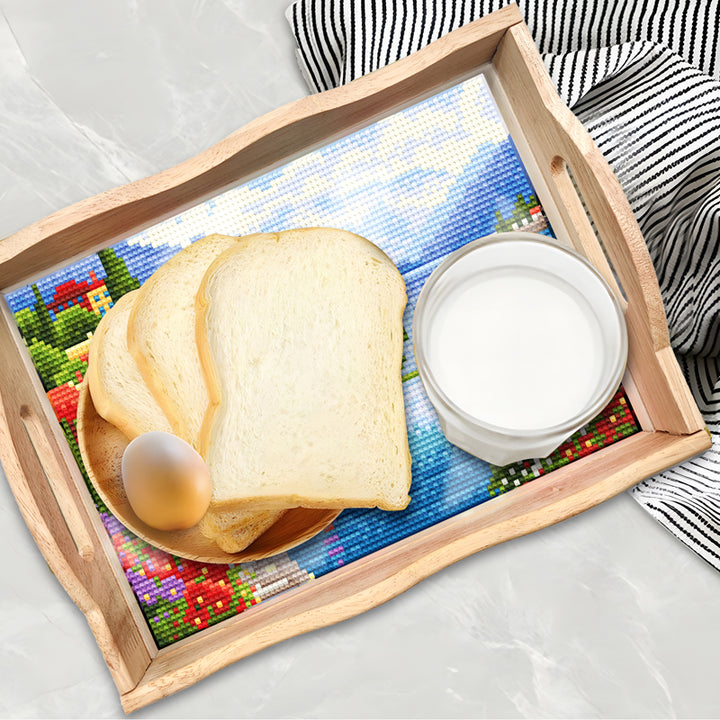CANP204 Dinner tray