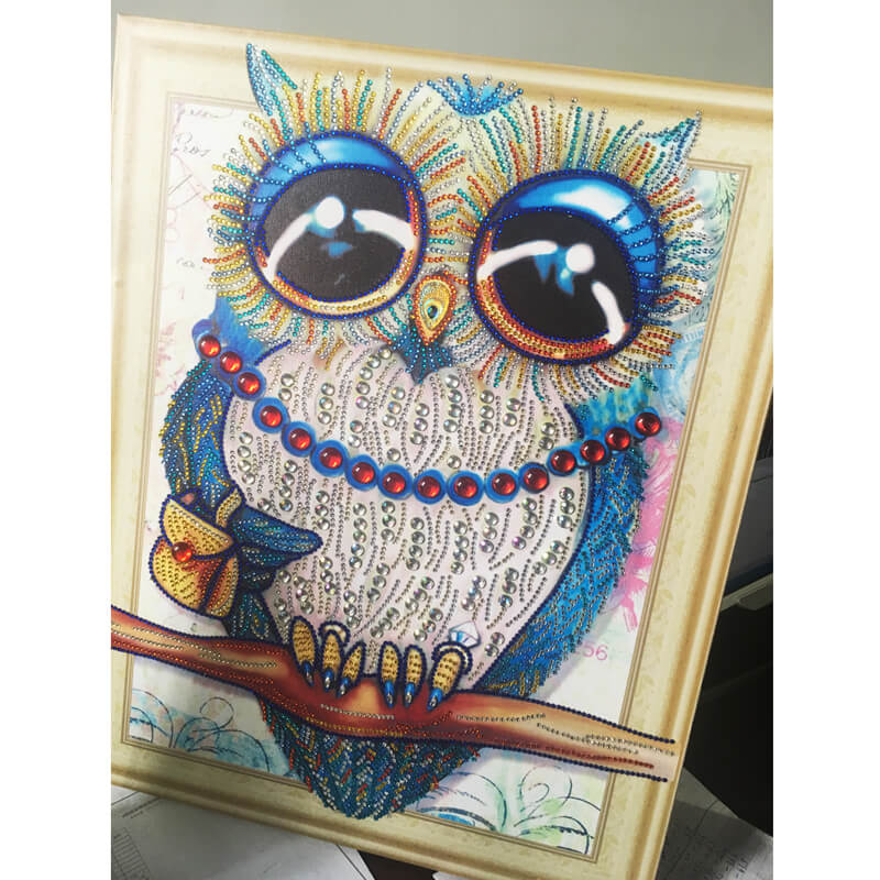 Diamond Painting Special Shape Owl