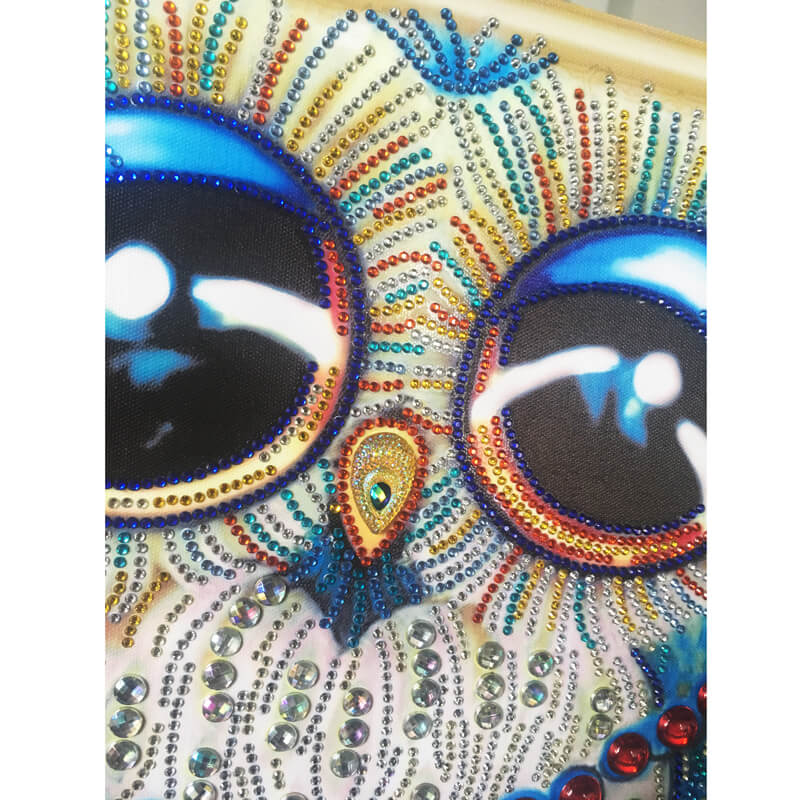 Diamond Painting Special Shape Owl