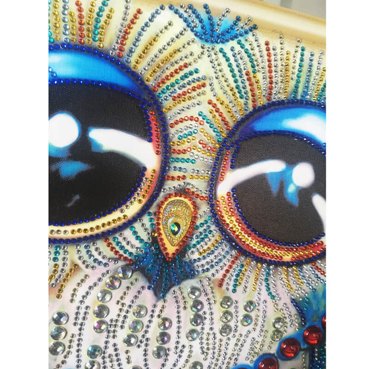 Diamond Painting Special Shape Owl
