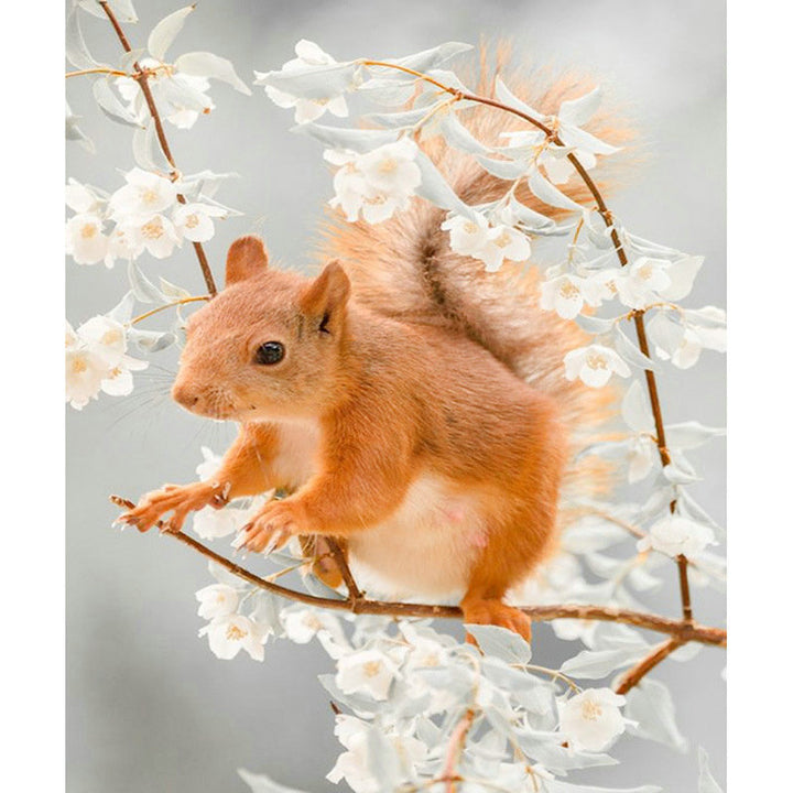 5d diamond painting squirrel flower pattern