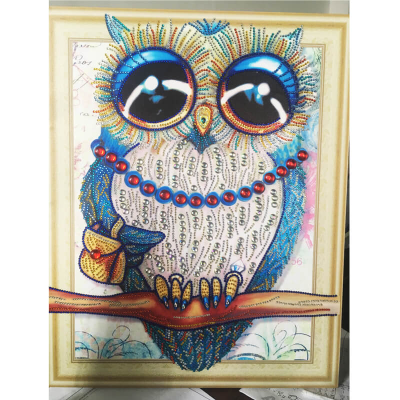 Diamond Painting Special Shape Owl